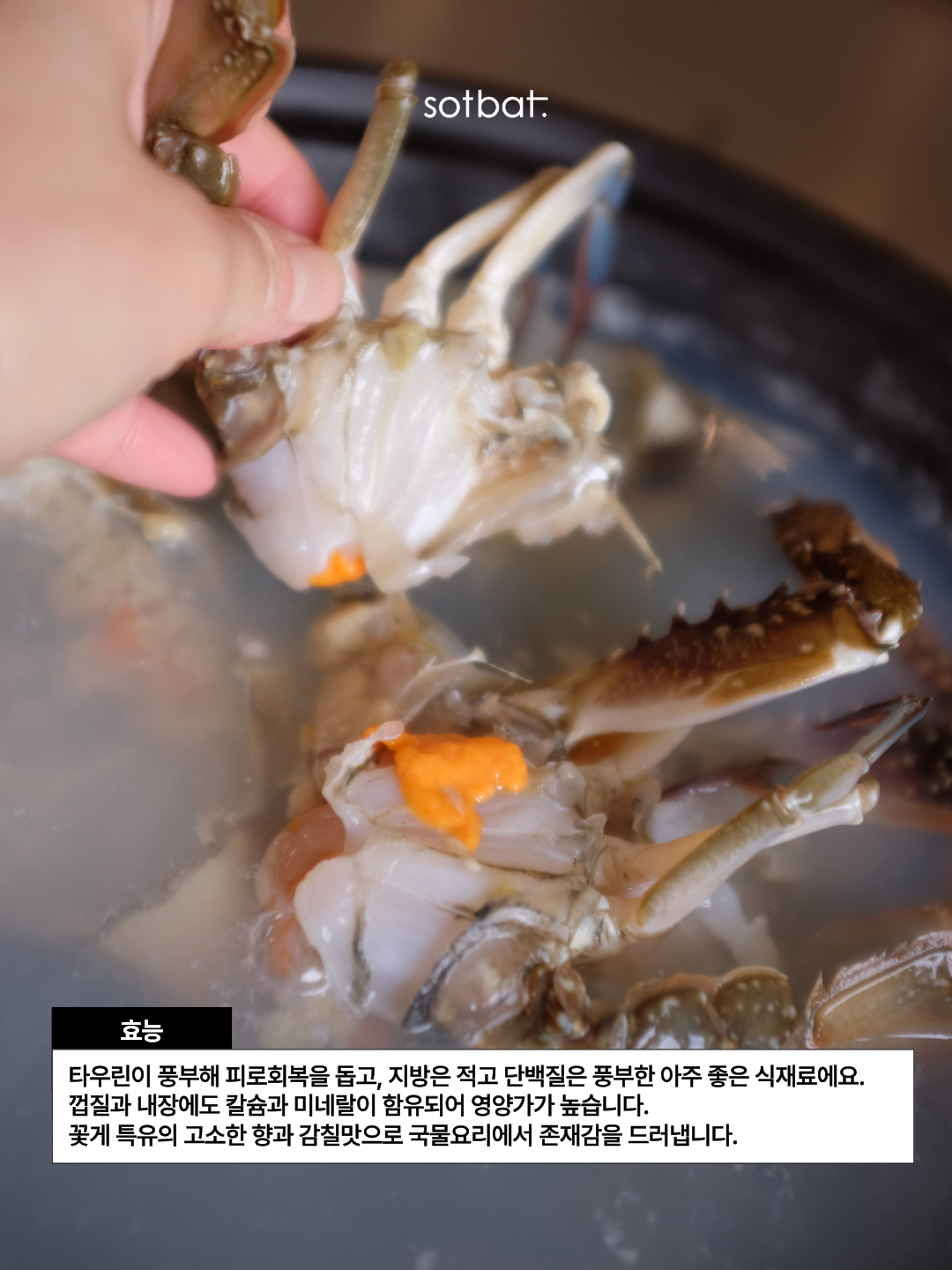 223321efe571a.png