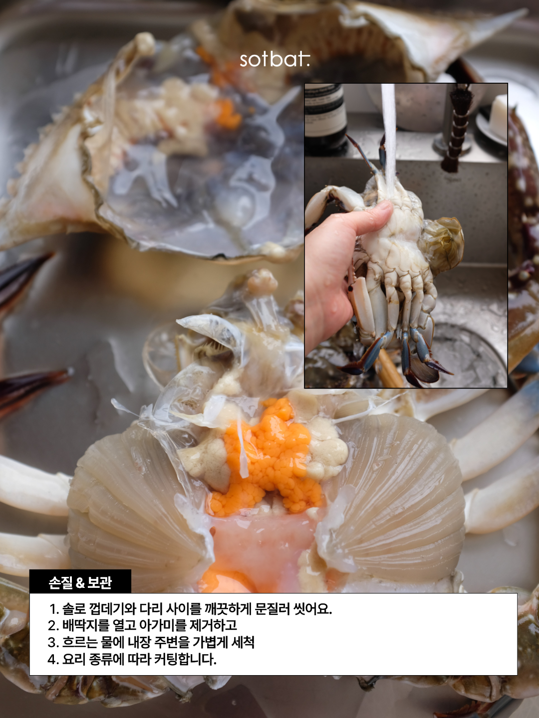 66bb93219759d.png