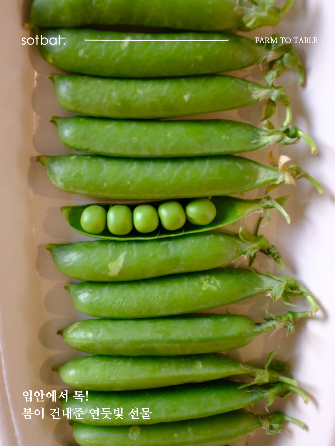 7cc05f9c1d174.png
