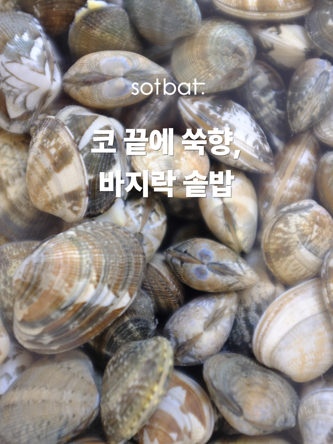 ba1f60bf1490f.png