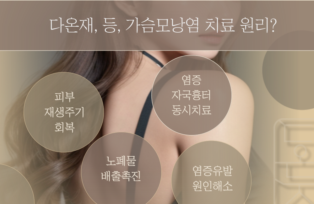 78f97ea75a531.png