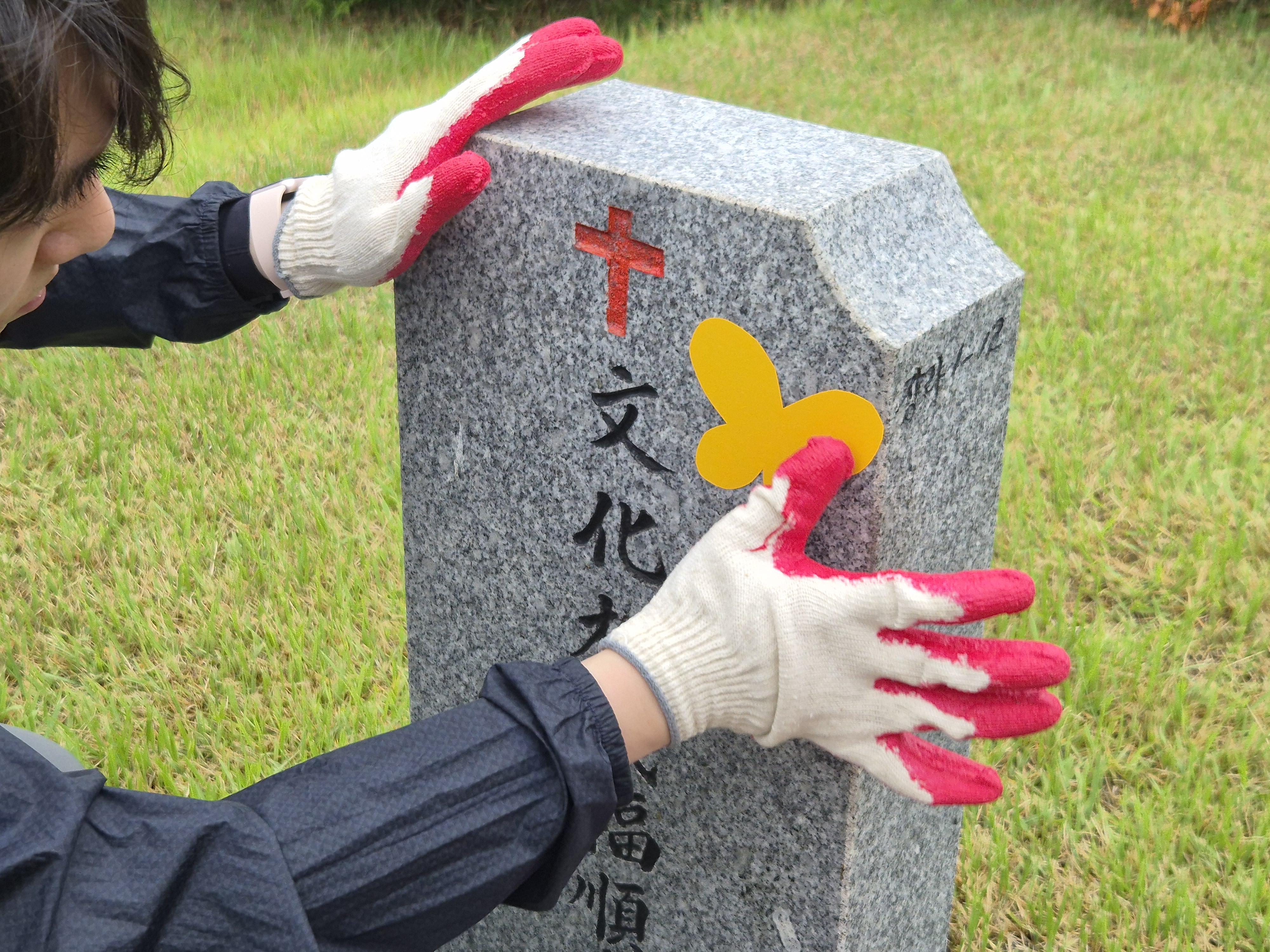 b1c6f9906d459.jpg