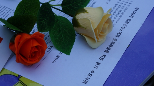 b2c0386fac51a.jpg