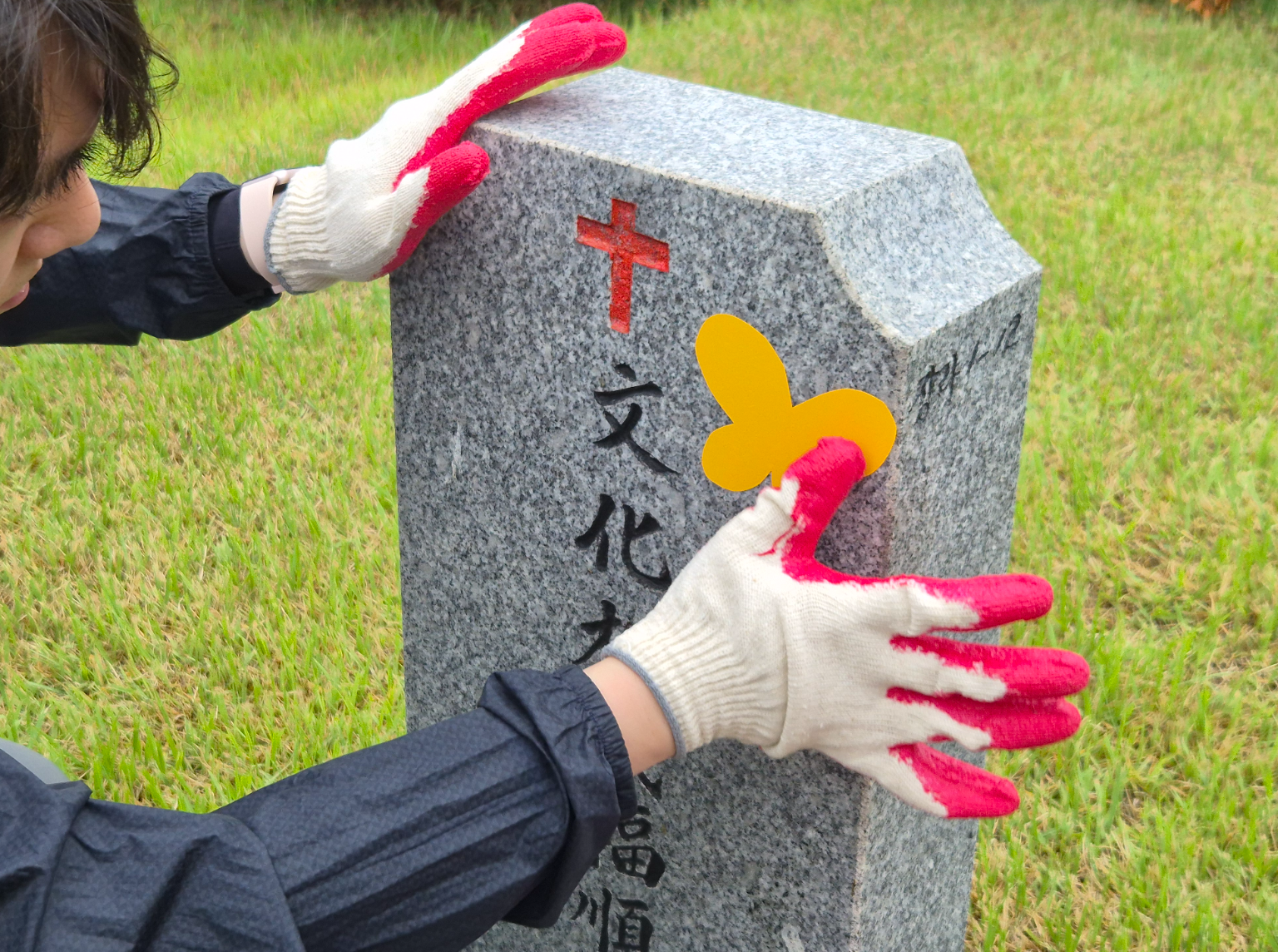 c08c566742eb1.png
