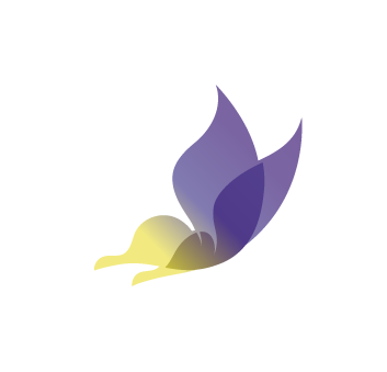 d242387946f9d.png