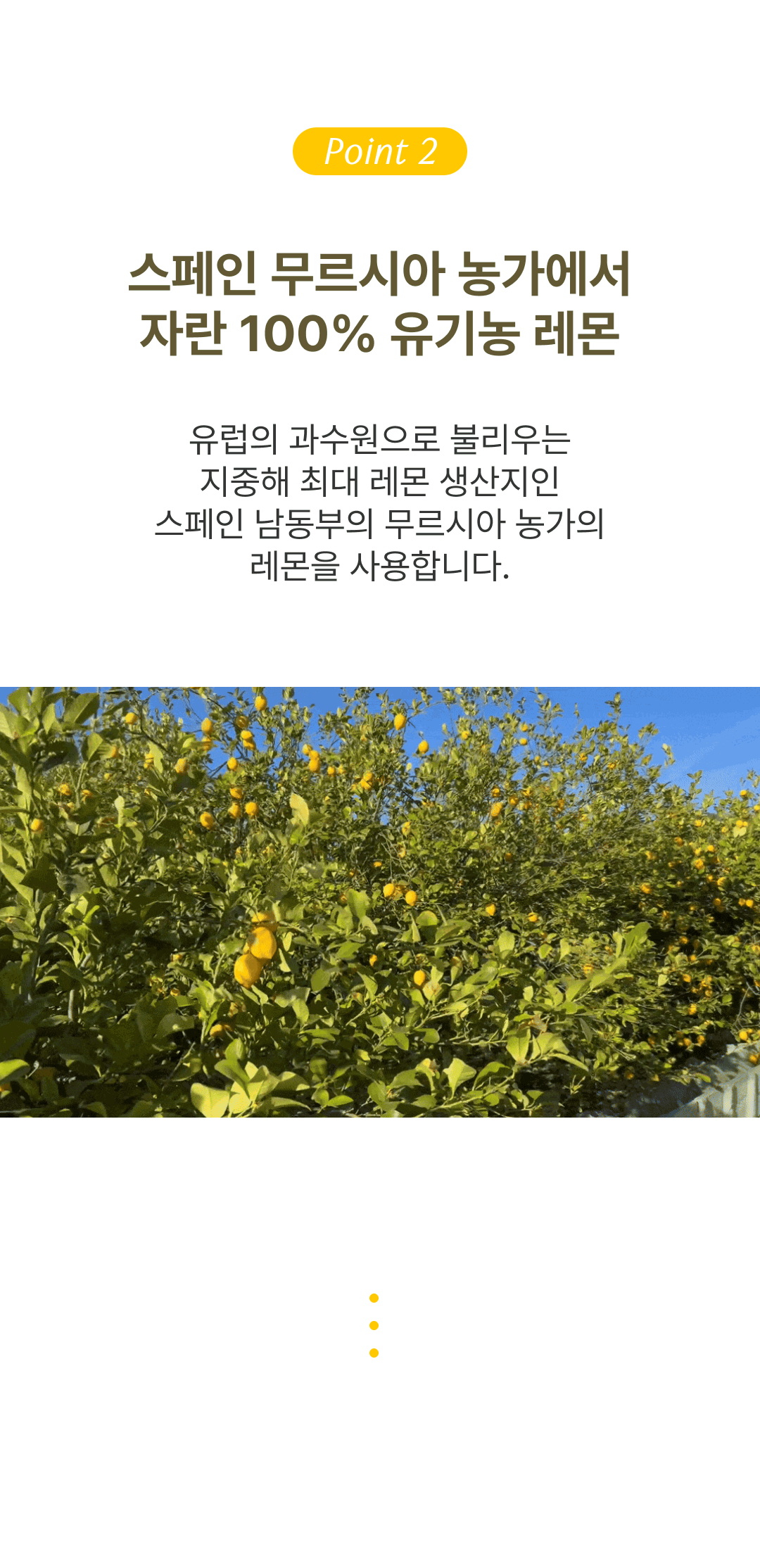 리꼬 100% 유기농 스페인산 레몬즙