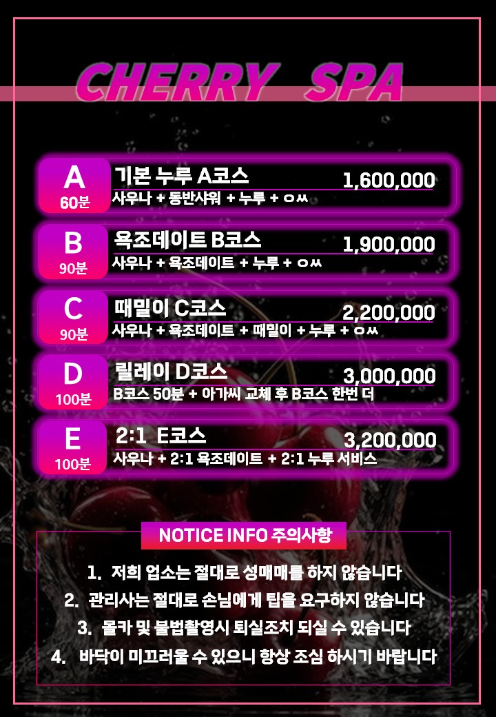 나트랑 체리스파 가격