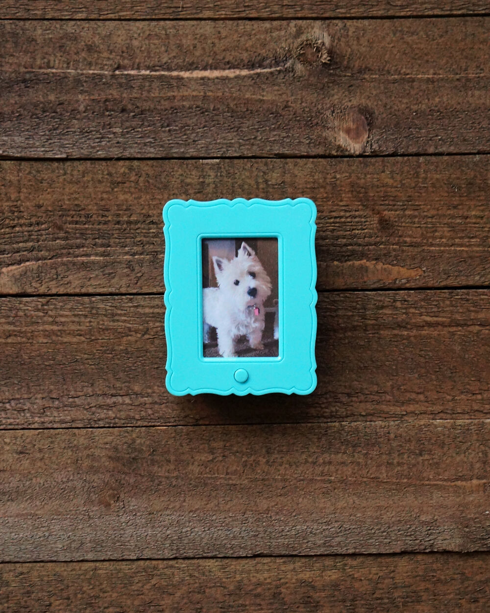 0947052001741341830.jpg RECORDABLE PICTURE FRAME
