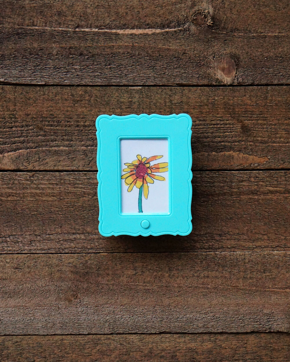 0598734001741341831.jpg RECORDABLE PICTURE FRAME