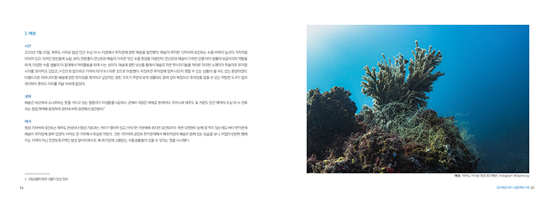 928.jpg 1a0645bc22980.png