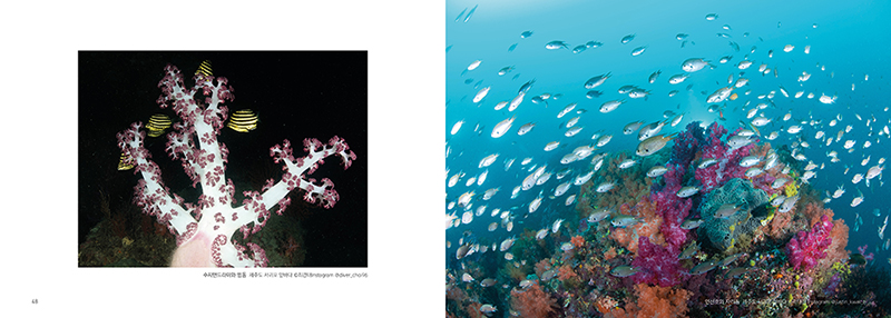 925.jpg 29d928c2b9376.png