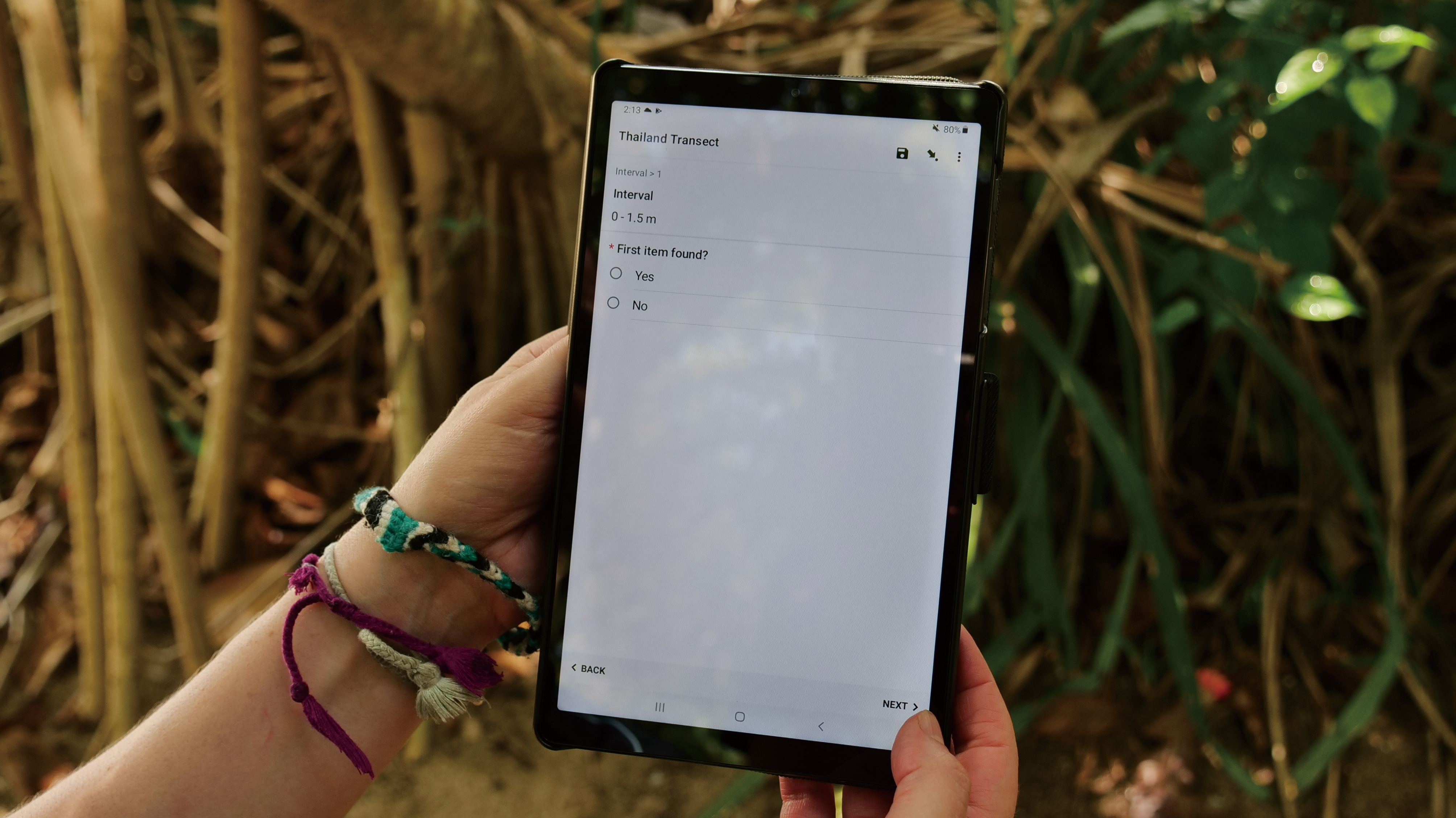 Image4_DataEntryTool.jpg 32e06a685e758.jpeg