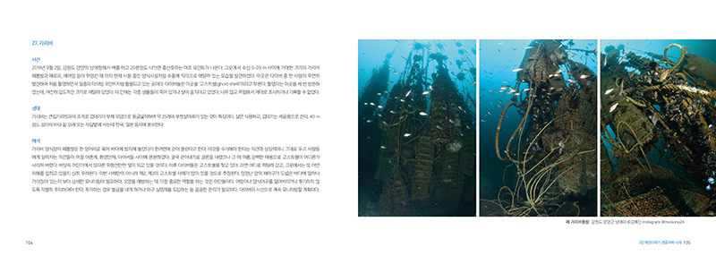 953.jpg 5da19e608b472.png