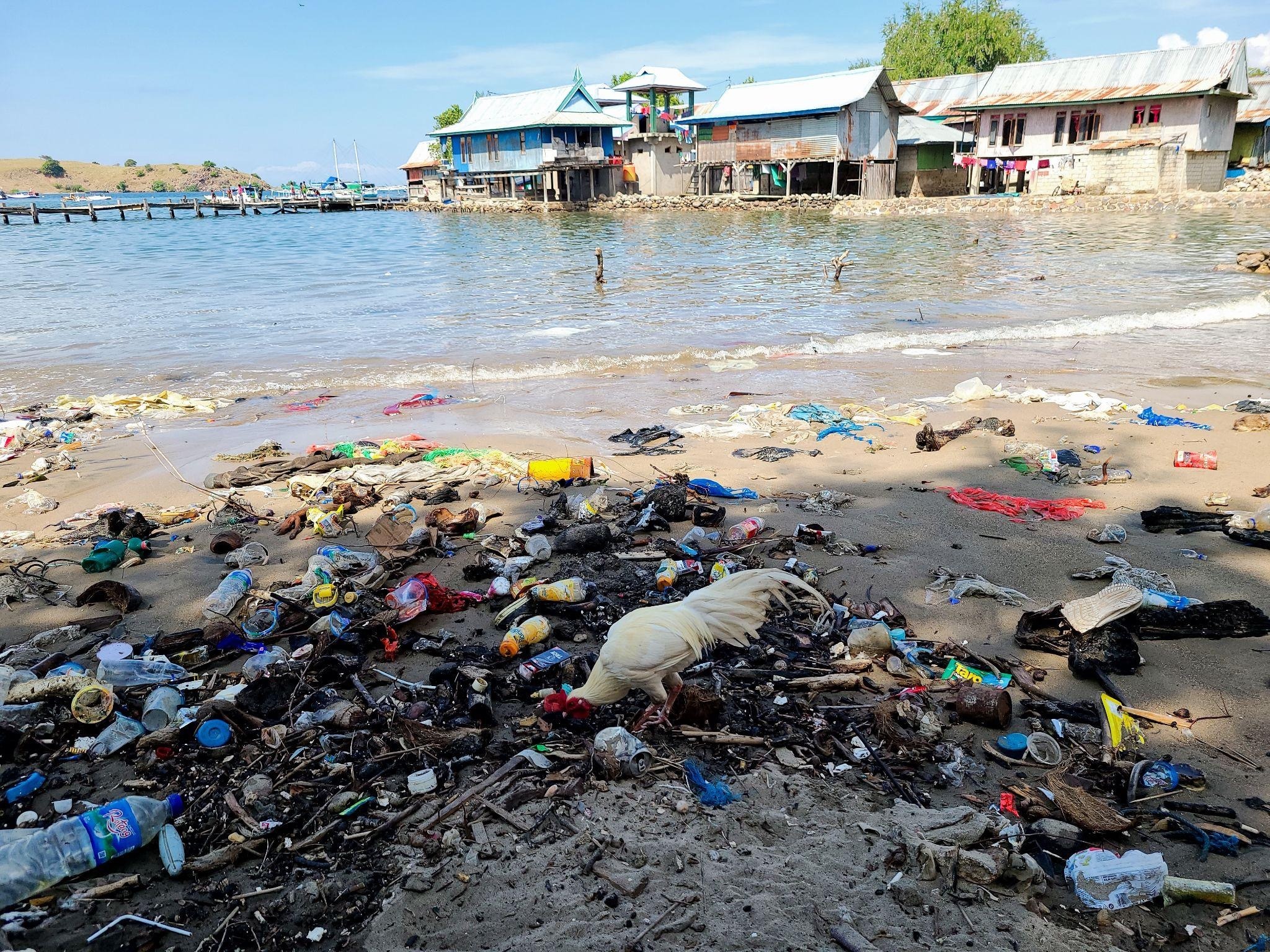 2%25E1%2584%258F%25E1%2585%25A9%25E1%2584%2586%25E1%2585%25A9%25E1%2584%2583%25E1%2585%25A9%25E1%2584%258C%25E1%2585%25B5%25E1%2584%258B%25E1%2585%25A7%25E1%2586%25A8%25E1%2584%258C%25E1%2585%25AE%25E1%2584%2586%25E1%2585%25B5%25E1%2586%25AB%25E1%2584%258E%25E1%2585%25A1%25E1%2586%25B7%25E1%2584%258B%25E1%2585%25A7_2.jpg 5f39a613ffb00.jpeg