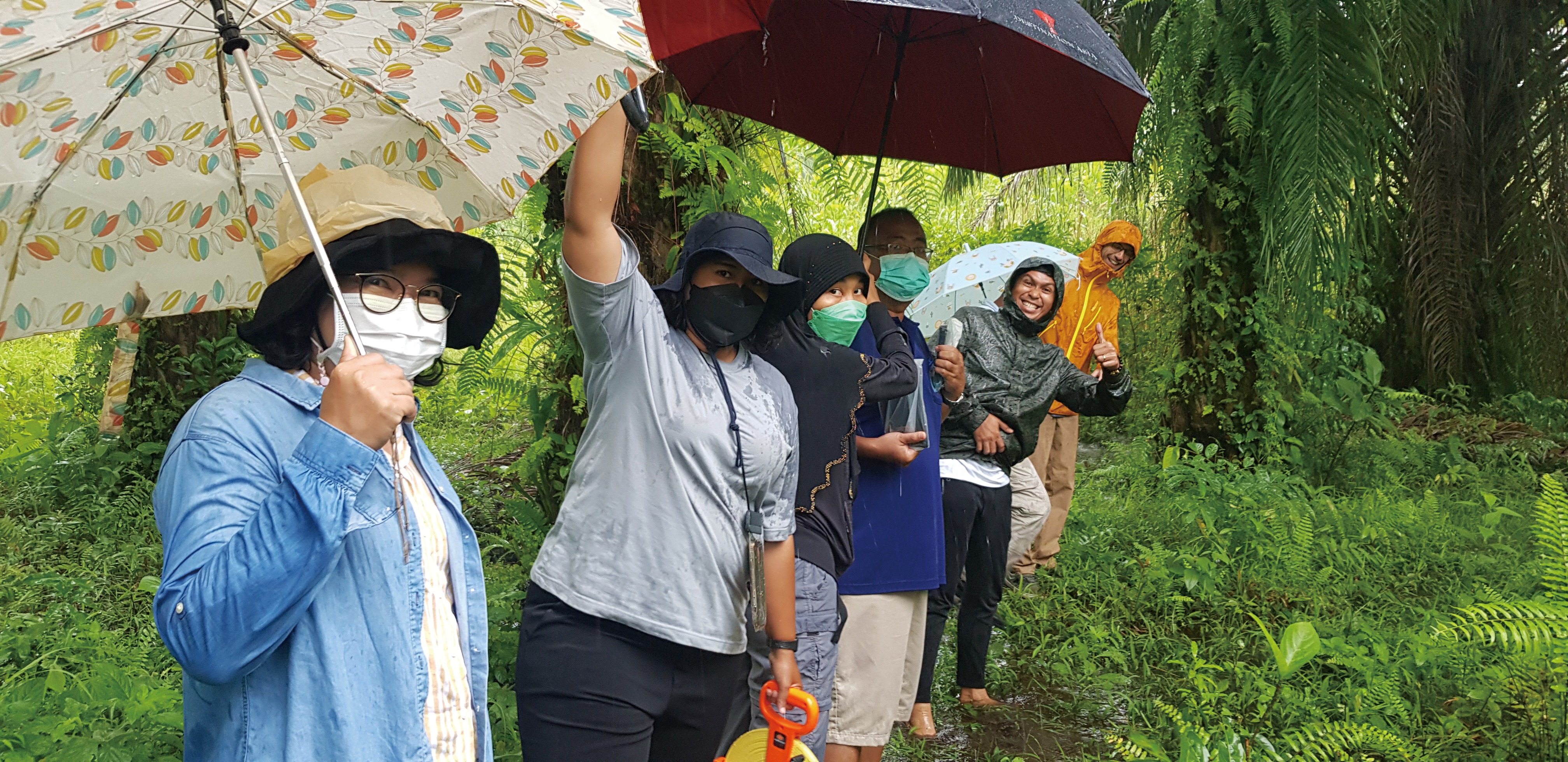 Image3_SurveyInRain.jpg b9de28f4a79c3.jpeg