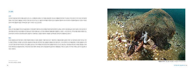 947.jpg c9362bee76a7f.png