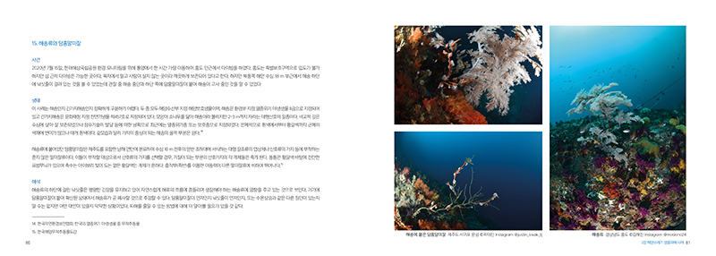 941.jpg e4ea249f88de7.png