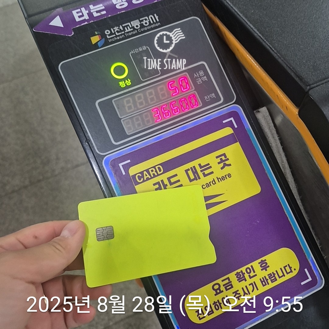 377cc75232667.jpg