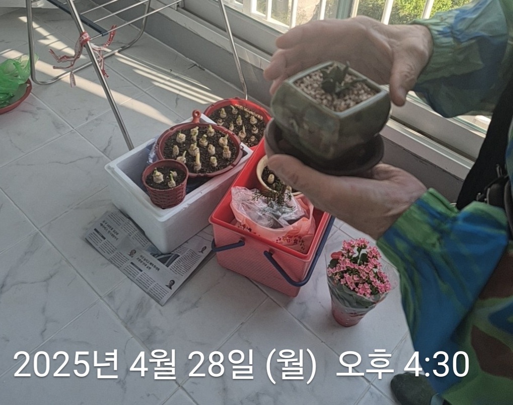 a942b11946c01.jpg