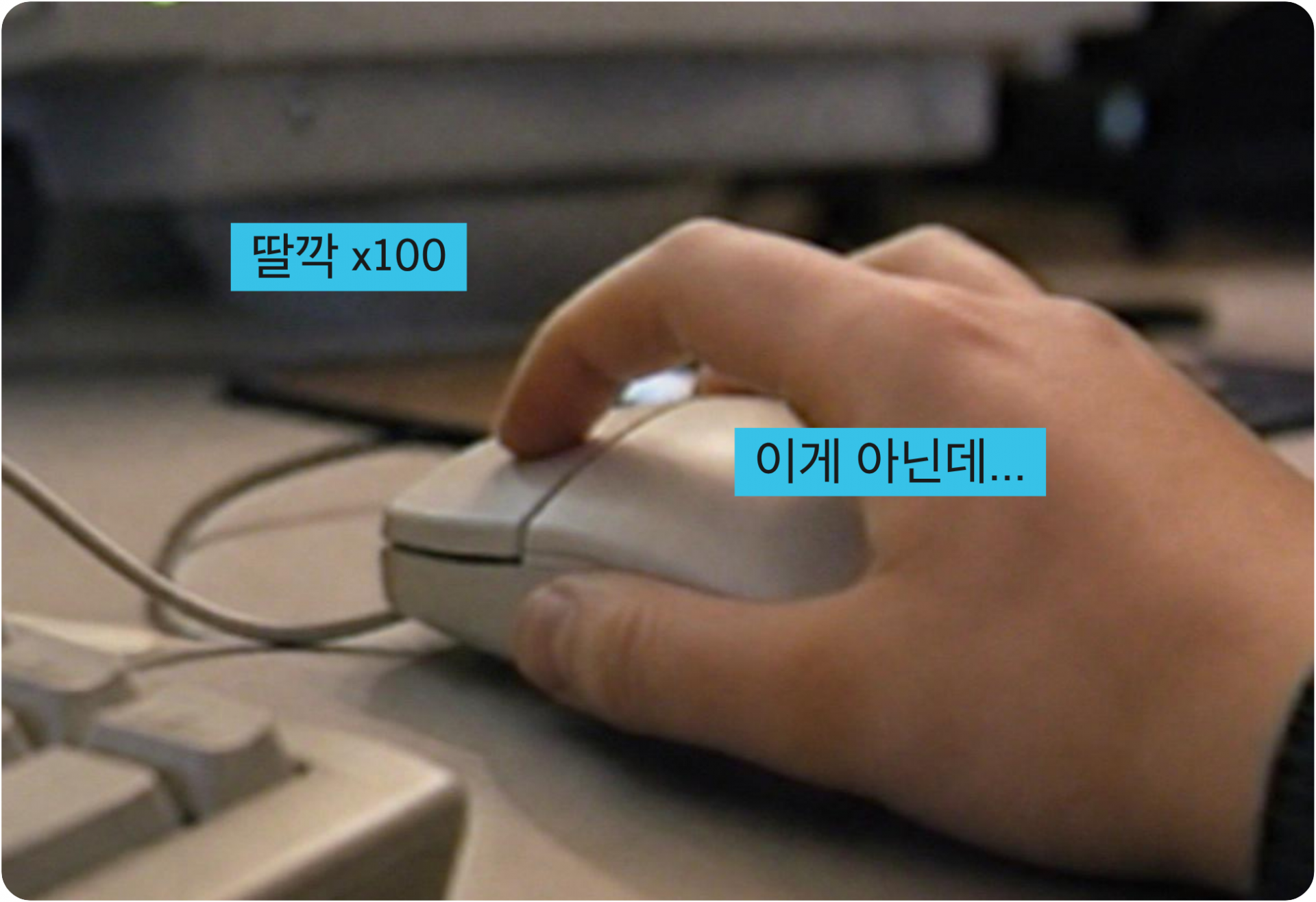 d2580c1ea8855.png