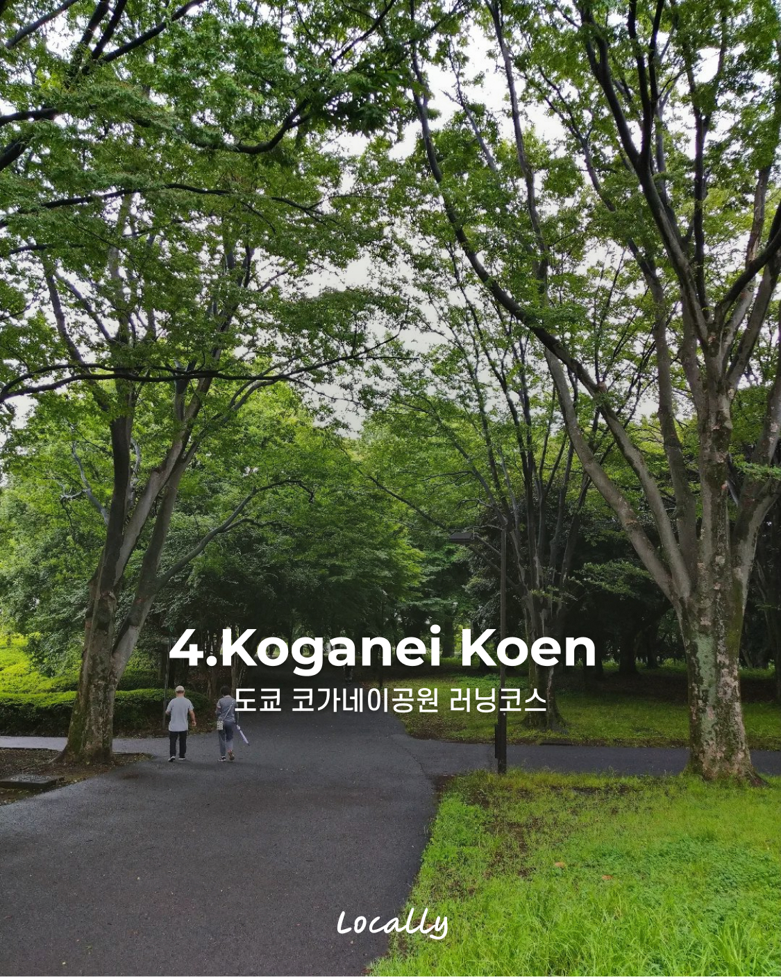 6875741fb0c9d.jpg
