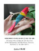 [쇼핑몸] 수제 목각 앵무새 | 인테리어 조각상 | 나무 앵무새 조각 | 인테리어 소품 | 나무조각 | 수공예 목재 | 앵무새 인테리어 | 장식품 | 나무새 | 조각상