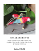[쇼핑몸] 수제 목각 앵무새 | 인테리어 조각상 | 나무 앵무새 조각 | 인테리어 소품 | 나무조각 | 수공예 목재 | 앵무새 인테리어 | 장식품 | 나무새 | 조각상