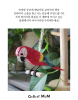 [쇼핑몸] 수제 목각 앵무새 | 인테리어 조각상 | 나무 앵무새 조각 | 인테리어 소품 | 나무조각 | 수공예 목재 | 앵무새 인테리어 | 장식품 | 나무새 | 조각상