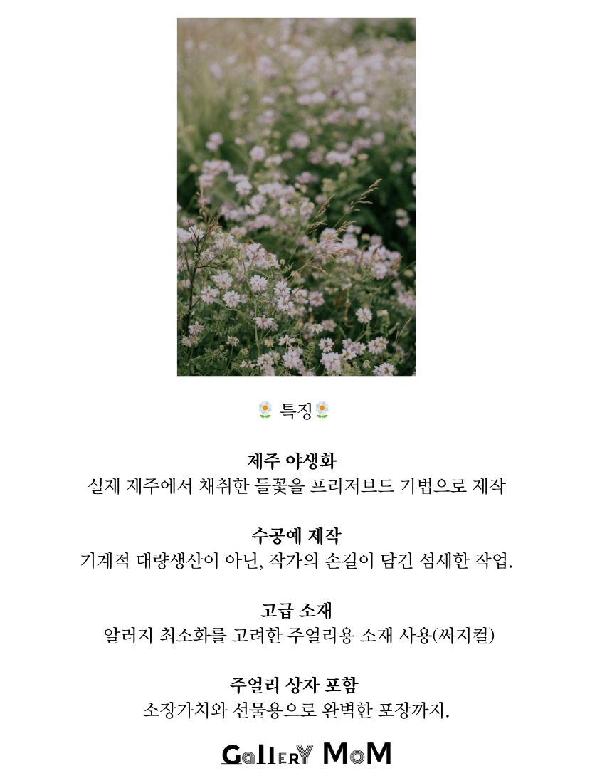 상품정보