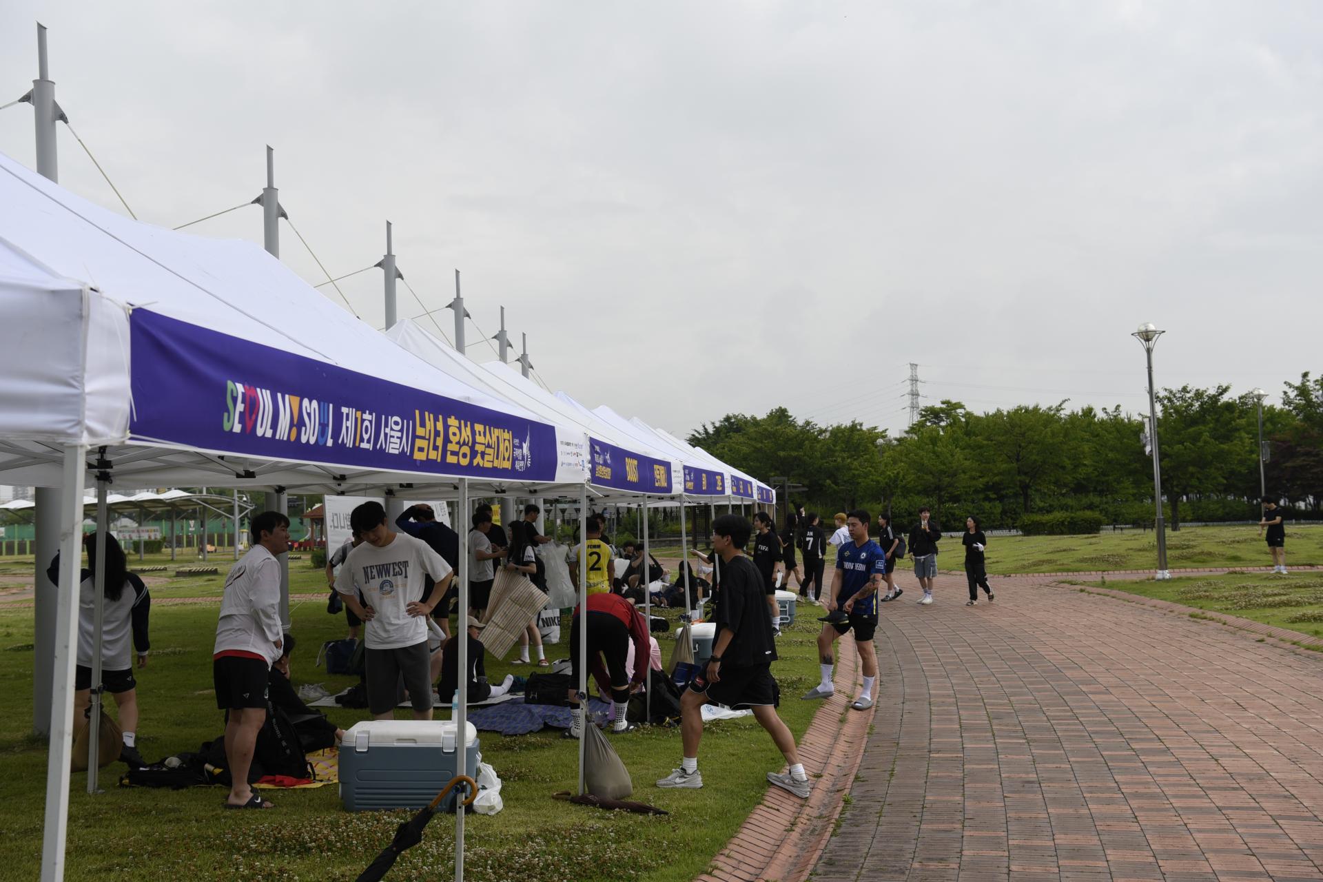 17e20627cbda2.jpg