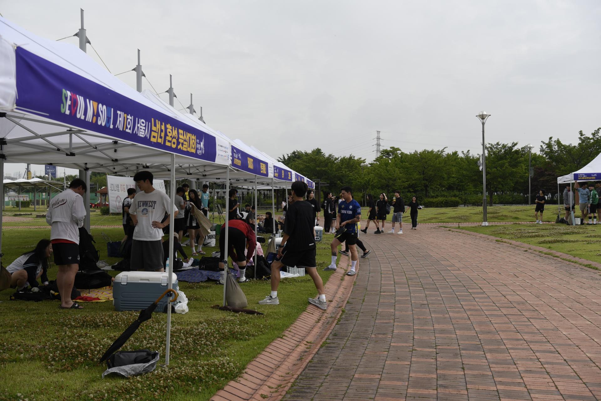 a41306c14ee54.jpg