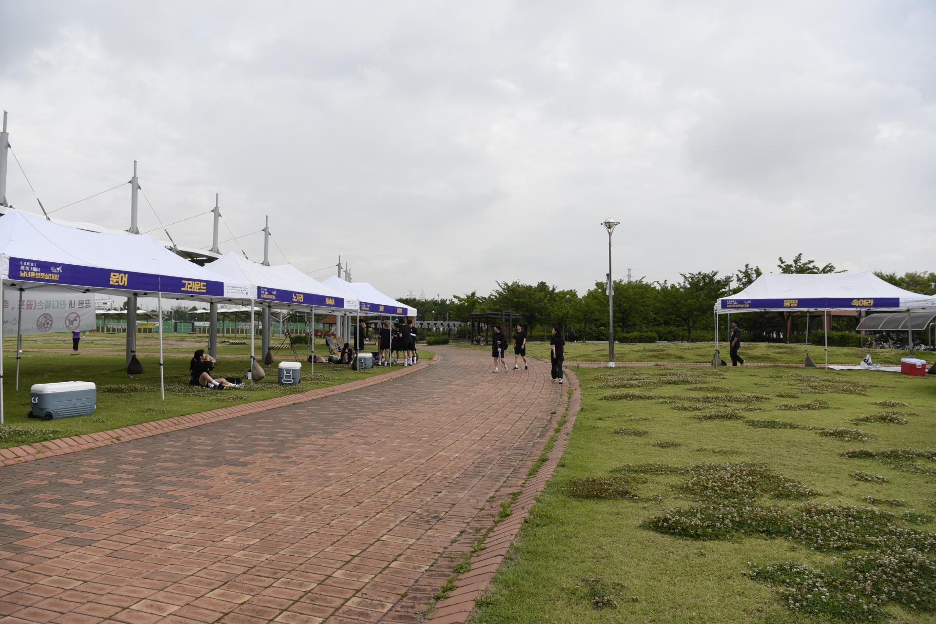 ec555c2d540c5.jpg