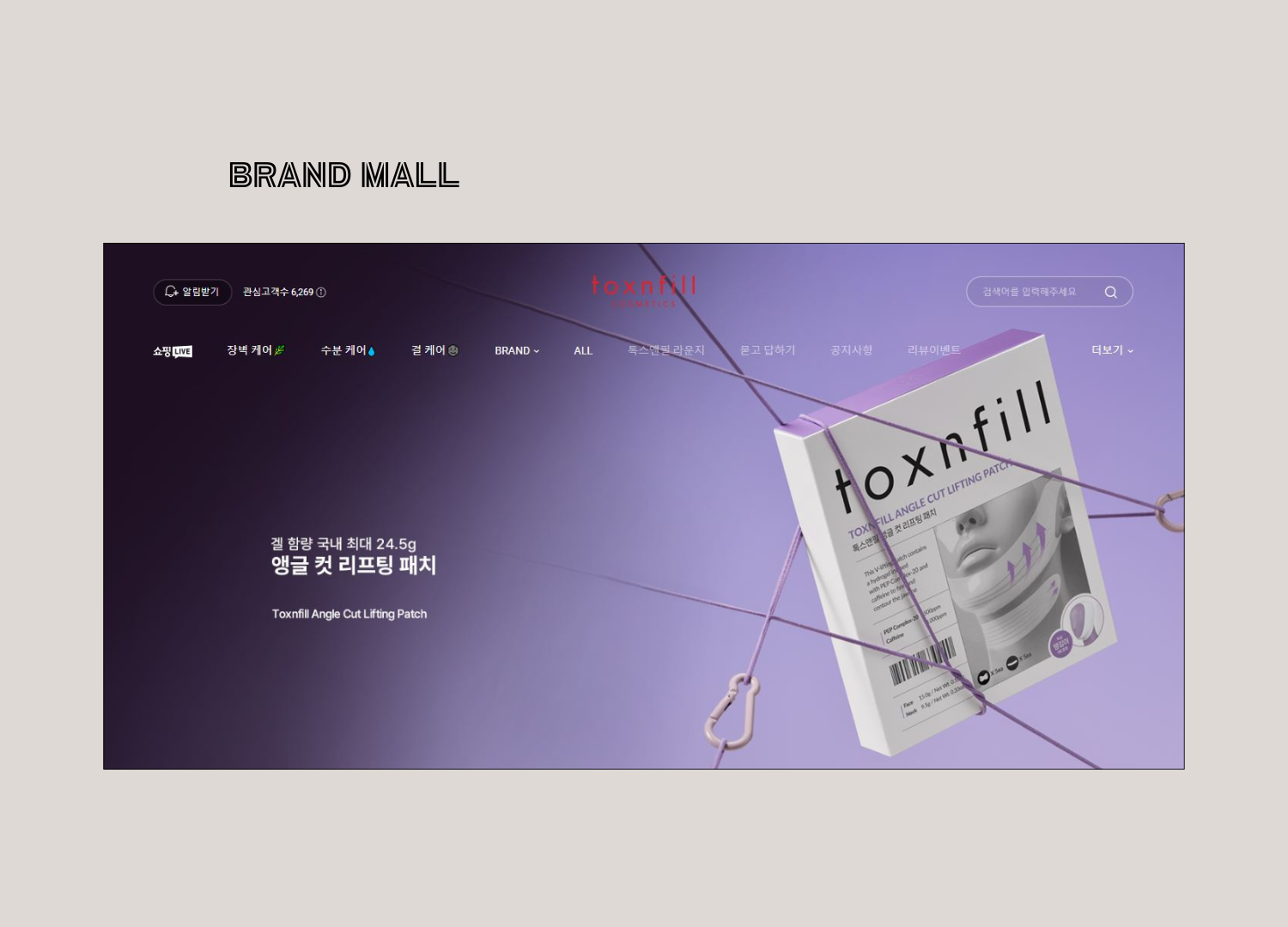 fd237072e0d81.png