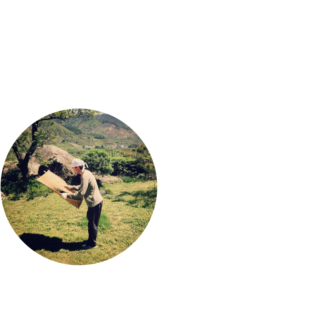 135a2561c1209.png