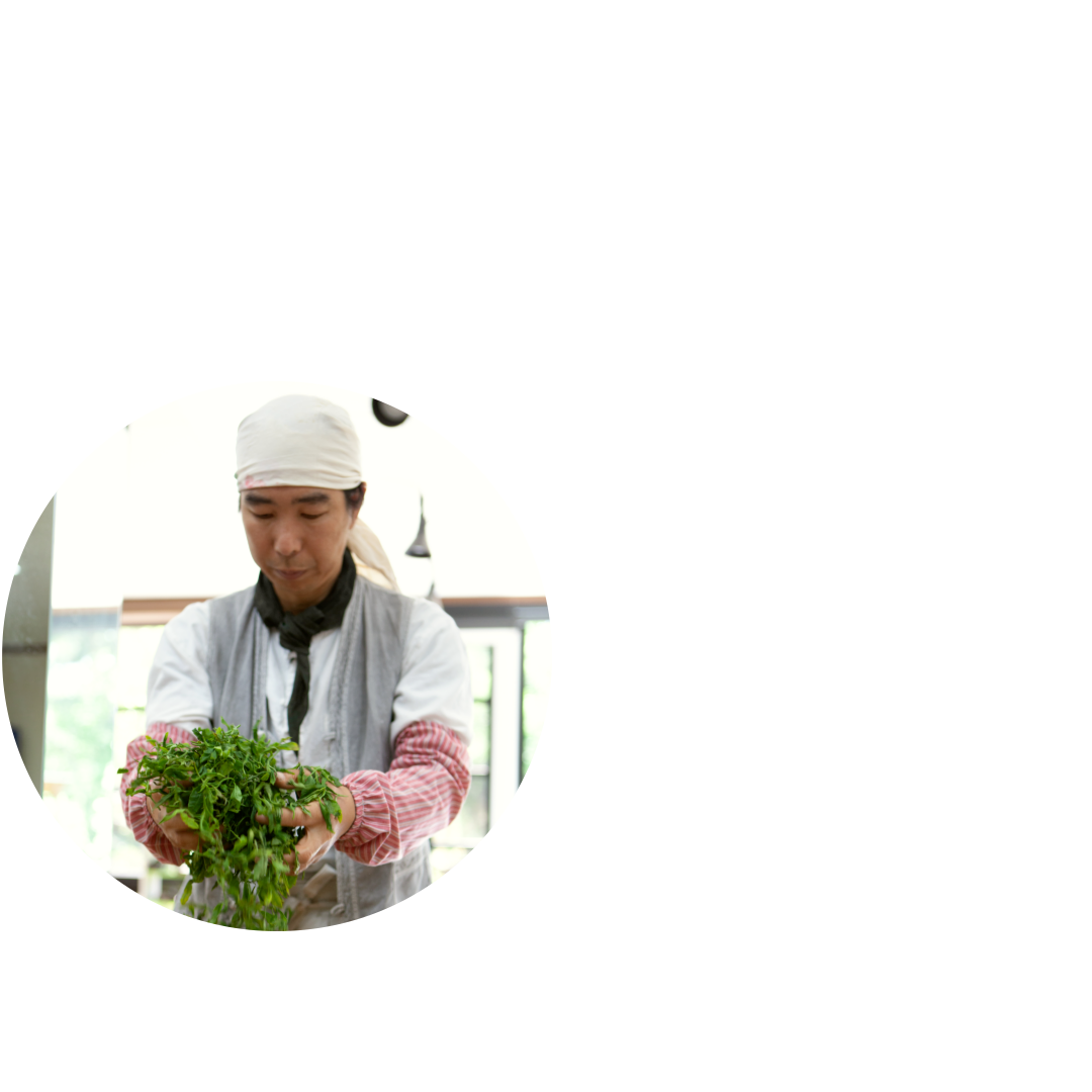1c9b721e6533d.png