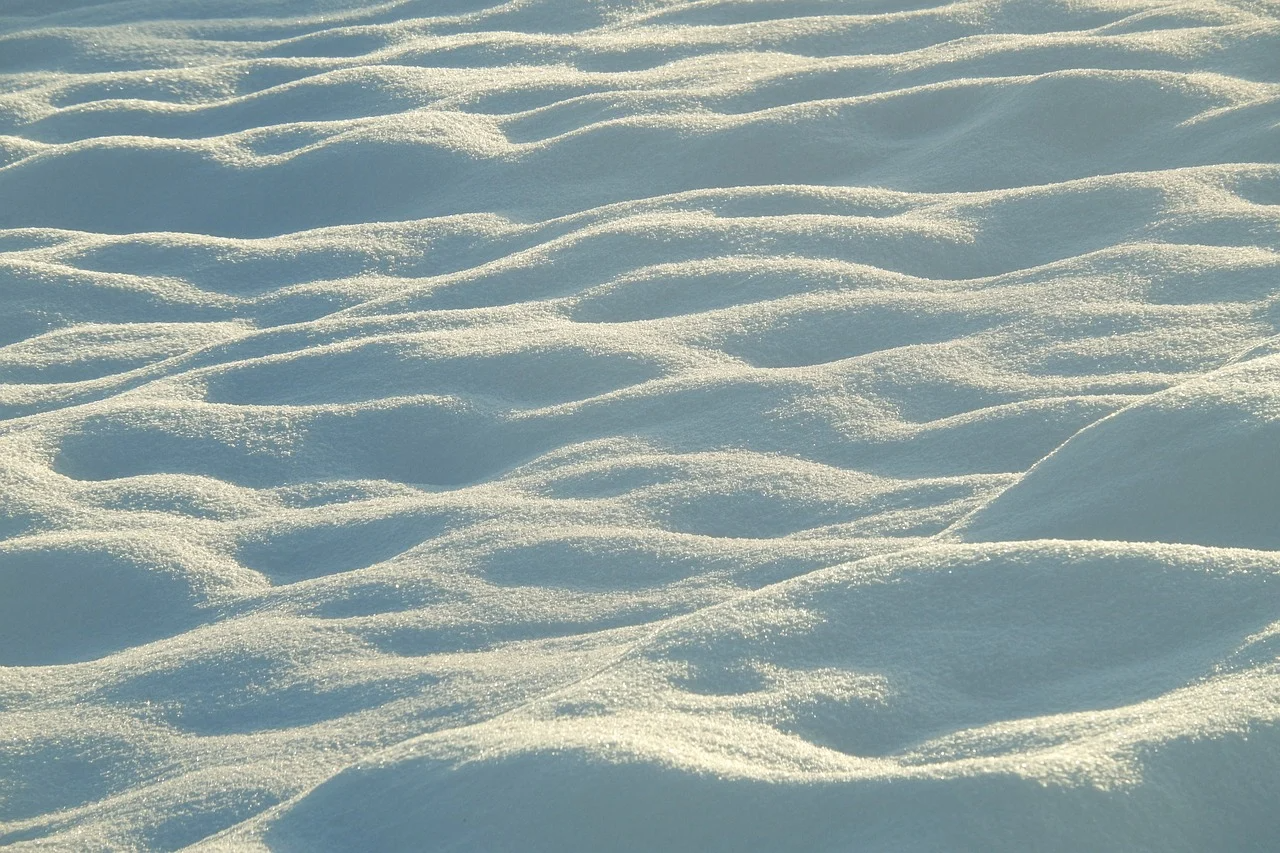 271888223e16a.png