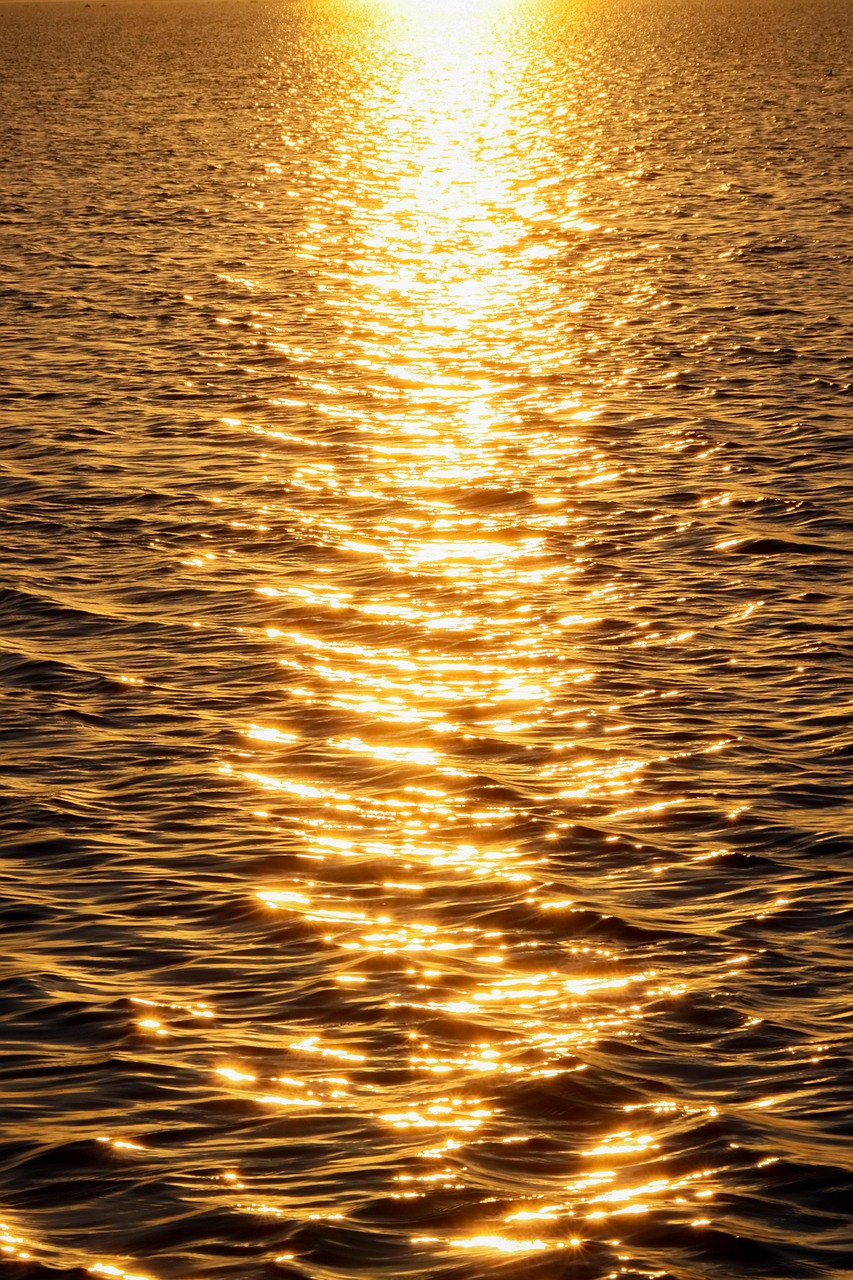 514e3b8a635c0.png