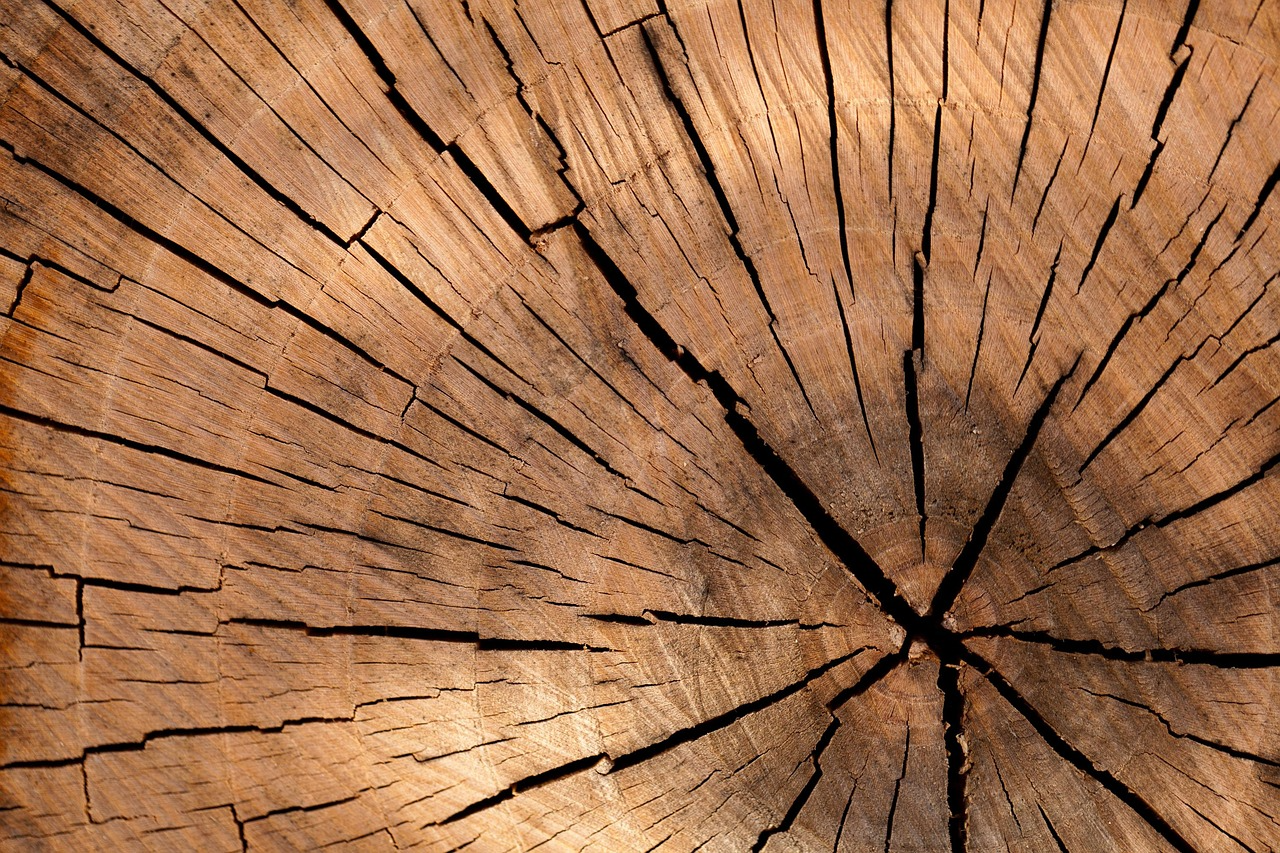 7643afcf4a644.png