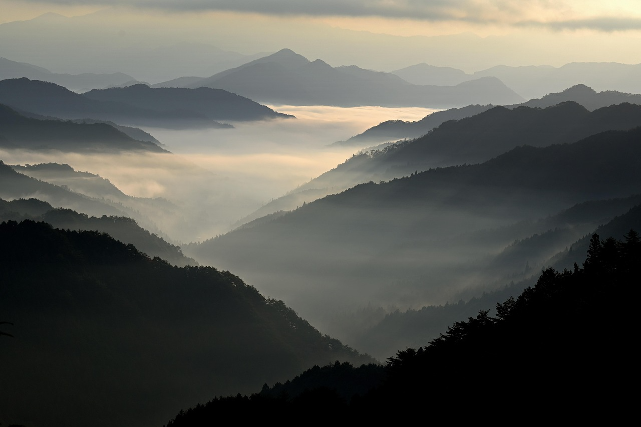 811089aa7a780.png