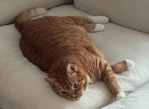 제목을 입력해주세요. (13).jpg