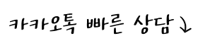 카카오톡 빠른상담