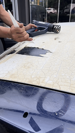 33258be14c63e.gif