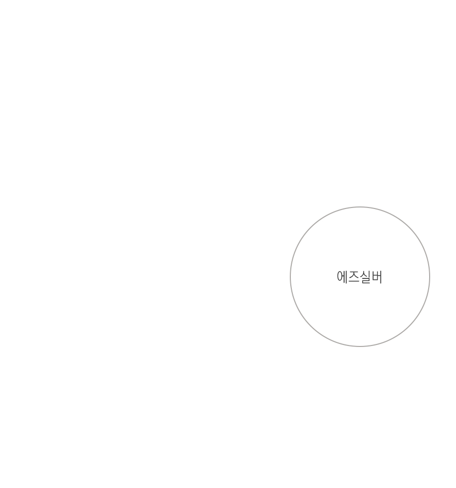 [프레임 단품] As Silver에즈실버