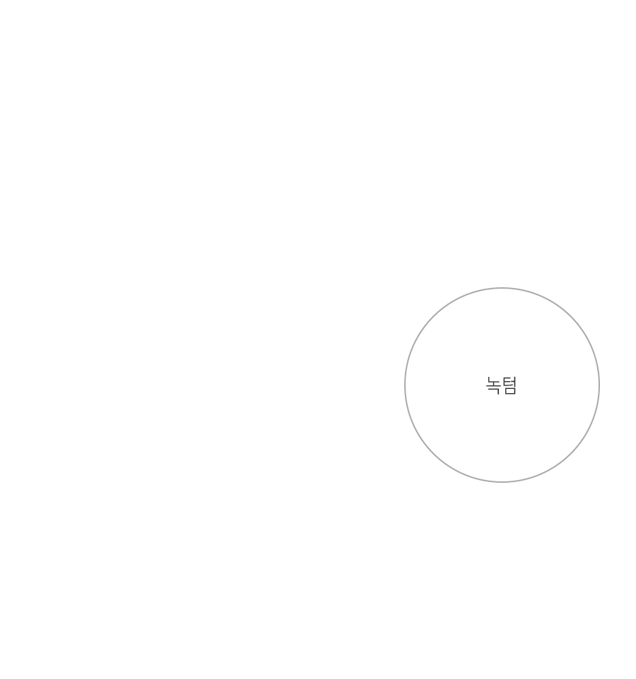 [프레임 단품] Noctem:녹텀