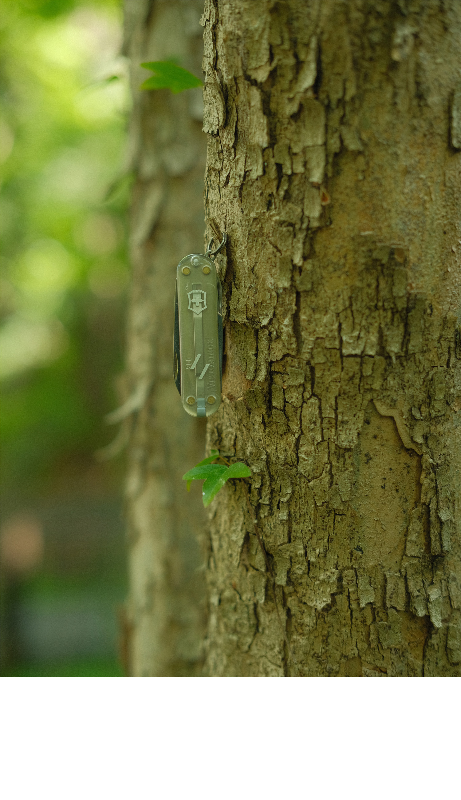 WELTER EXPERIMENT X VICTORINOX Swiss Army Knife™