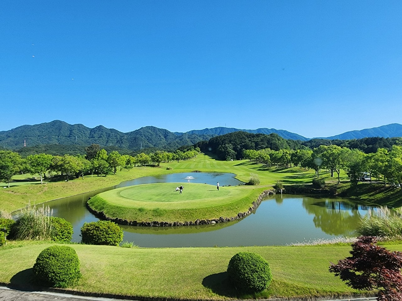 사용자가 올린 이미지