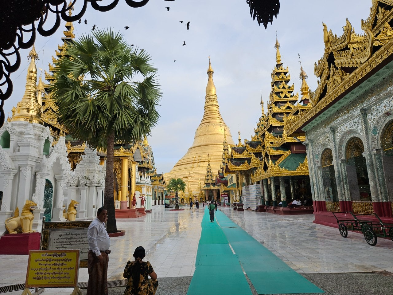 사용자가 올린 이미지