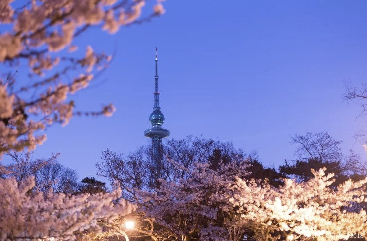 ์ฌ์ฉ์๊ฐ ์ฌ๋ฆฐ ์ด๋ฏธ์ง