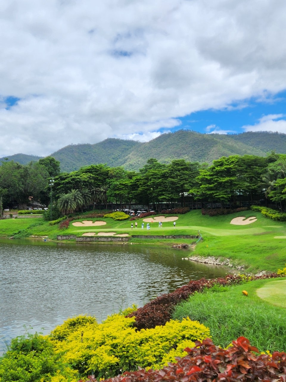 사용자가 올린 이미지