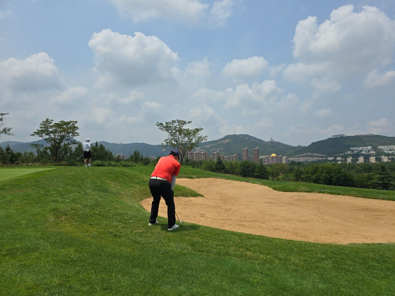 사용자가 올린 이미지